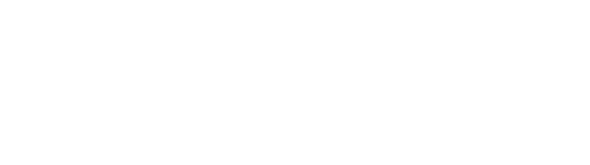 Arc Investors